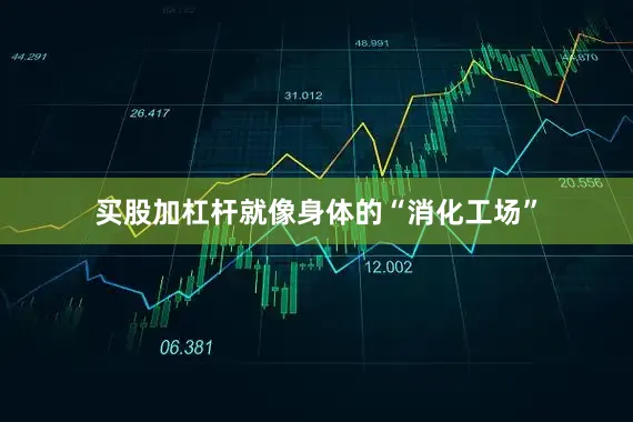 买股加杠杆就像身体的“消化工场”