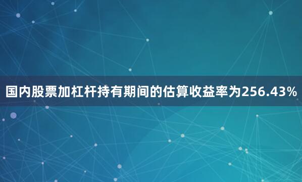 国内股票加杠杆持有期间的估算收益率为256.43%